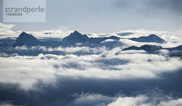 Blick auf Berge zwischen Wolken  Hochnebel  Hochbrixen  Brixen im Thale  Tirol  Österreich  Europa