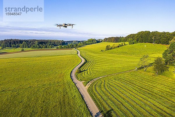 Fliegende Drohne DJI Mavic 2 Pro  kleine Straße durch Wiesenlandschaft  Dorfener Höhe bei Icking  Tölzer Land  Drohnenaufnahme  Oberbayern  Bayern  Deutschland  Europa