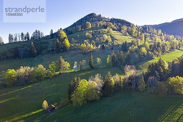 Berggipfel Sonntratn im Frühling  bei Gaißach  Isarwinkel  Drohnenaufnahme  Oberbayern  Bayern  Deutschland  Europa