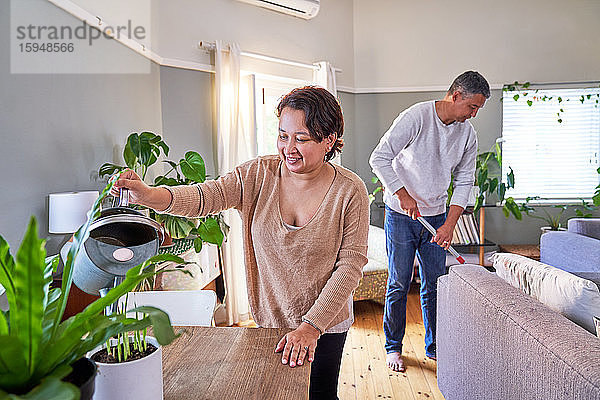 Reifes Paar bewässert Zimmerpflanzen und reinigt das Wohnzimmer