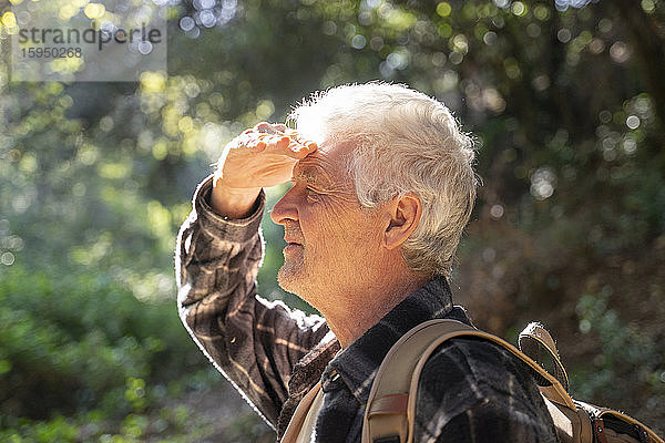 Profil eines älteren Mannes  der im Wald wandert und seine Augen schützt