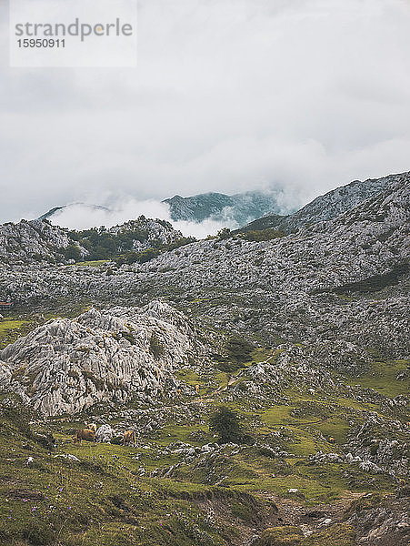 Spanien  Kantabrien  Weiße Wolken über der felsigen Landschaft der Picos de Europa