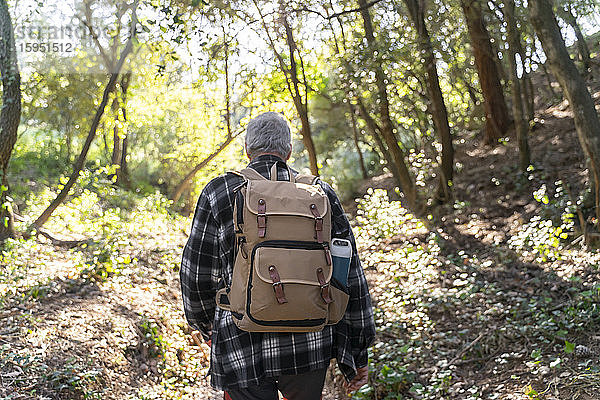 Rückenansicht eines älteren Mannes mit Rucksack beim Wandern im Wald