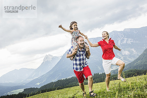 Glückliche Familie läuft auf einer Bergwiese  Achenkirch  Österreich