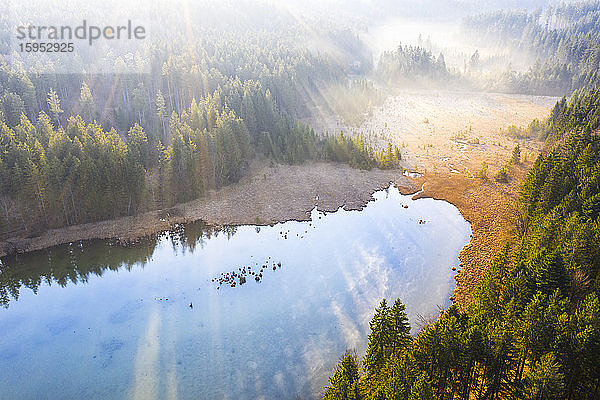 Deutschland  Bayern  Egling  Drone Blick auf das Ufer des Thanninger Weihers bei nebligem Sonnenaufgang