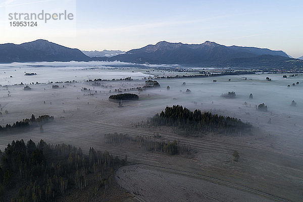 Deutschland  Bayern  Drohnenansicht der im Morgennebel gehüllten Moore von Loisach-Kochelsee-Moore