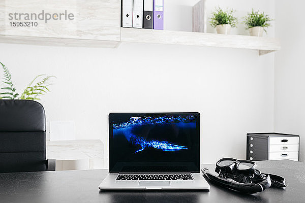 Laptop auf einem Tisch mit einem Foto eines Finnwals auf dem Bildschirm und einer Taucherbrille daneben