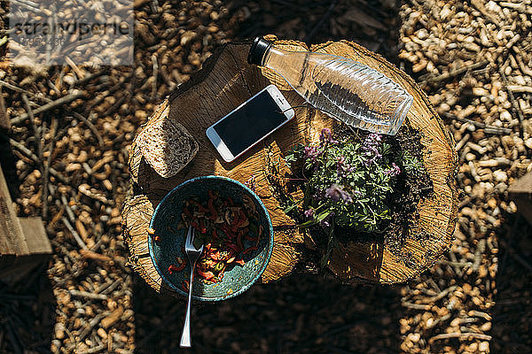 Smartphone  Snack  Pflanze und Wasserflasche am Baumstumpf