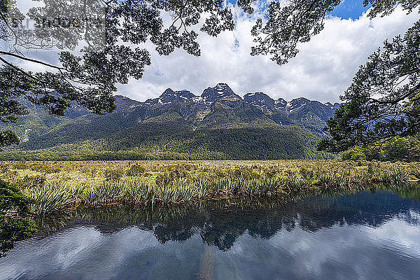 Neuseeland  Southland  Te Anau  Landschaftsbild Earl Mountains und Ufer der Mirror Lakes