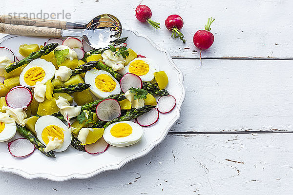 Teller vegetarischer Kartoffelsalat mit gekochten Eiern  Spargel  Radieschen und Petersilie