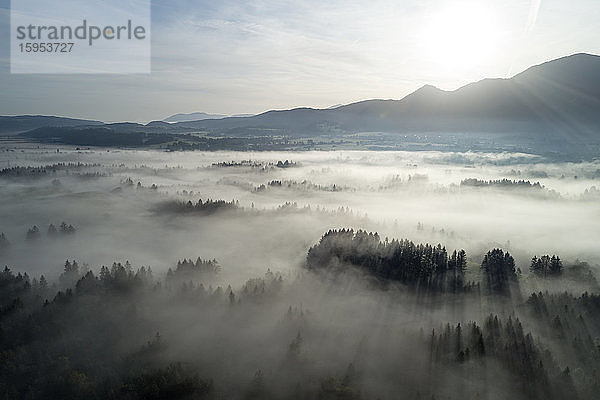 Deutschland  Bayern  Garmisch-Partenkirchen  Drohnenansicht des Murnauer Moosfeuchtgebietes bei nebligem Sonnenaufgang