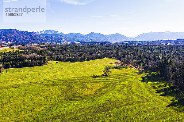 Deutschland  Bayern  Bad Heilbrunn  Drohnenansicht einer grünen  mit Reifenspuren bedeckten Wiese mit Bergen im Hintergrund