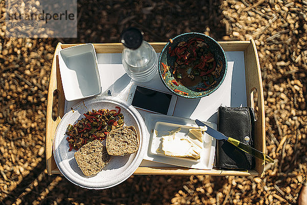 Smartphone  Mahlzeit und Wasserflasche auf Tablett im Garten