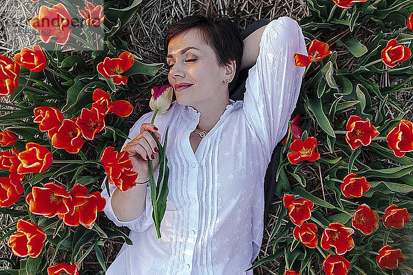 Bildnis einer lächelnden Frau mit geschlossenen Augen zwischen Tulpen liegend