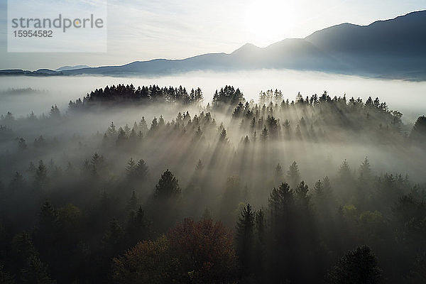 Deutschland  Bayern  Garmisch-Partenkirchen  Drohnenansicht des Murnauer Moosfeuchtgebietes bei nebligem Sonnenaufgang