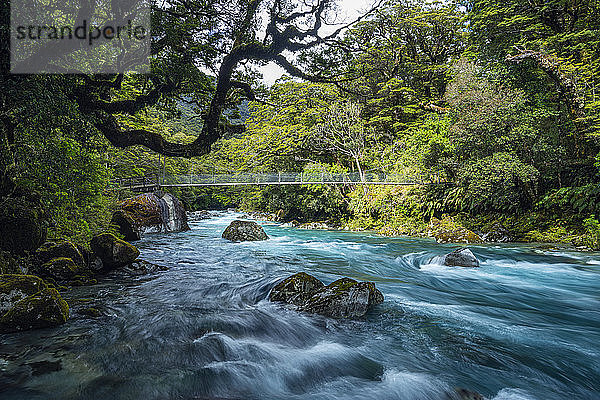 Neuseeland  Southland  Te Anau  Brücke über den im Fiordland National Park fliessenden Hollyford River
