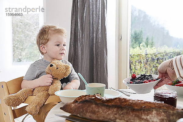 Porträt eines kleinen Jungen  der mit einem Teddybären am Frühstückstisch sitzt