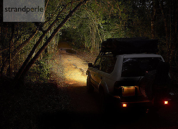 Geländewagen fährt nachts in den Wald ein  Plettenberg Bay  Südafrika