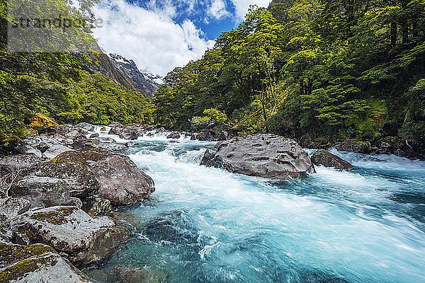 Neuseeland  Southland  Te Anau  Lange Exposition des Hollyford-Flusses  der im Fiordland-Nationalpark rauscht