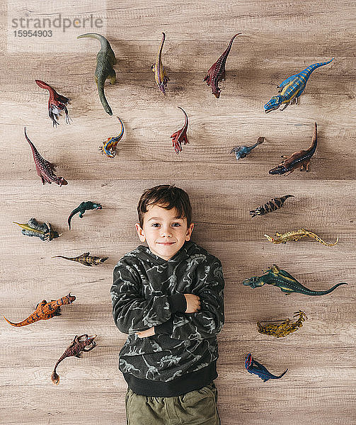 Porträt eines lächelnden kleinen Jungen  der zwischen Spielzeugdinosauriern auf dem Boden liegt