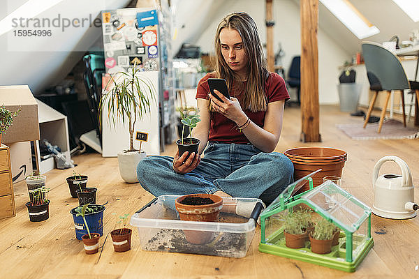 Junge Frau beim Fotografieren von Pflanzen auf dem Holzboden mit einem Smartphone