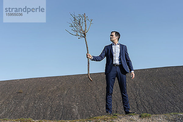 Ein reifer Geschäftsmann hält einen kahlen Baum auf einer stillgelegten Minenhalde