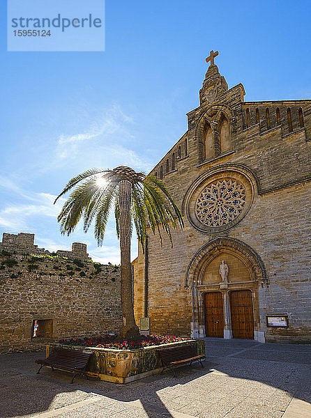 Spanien  Balearen  Mallorca  Alcudia  Palme und leere Bank vor der Kirche Saint Jaume
