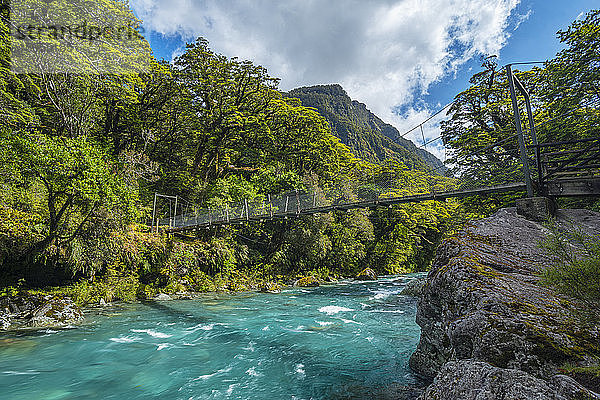Neuseeland  Southland  Te Anau  Brücke über den im Fiordland National Park fliessenden Hollyford River