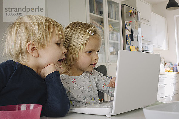 Kleines Mädchen benutzt zu Hause einen Laptop  während ihr älterer Bruder sie beobachtet