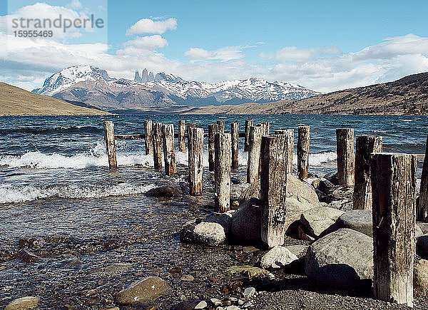 Holzpfähle an der Laguna Azul  Torres del Paine Nationalpark  Chile