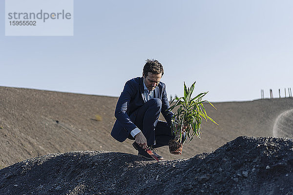 Ein reifer Geschäftsmann pflanzt eine Pflanze auf einer stillgelegten Minenhalde
