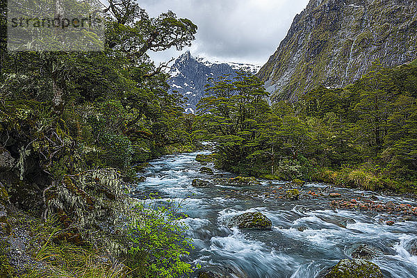 Neuseeland  Southland  Te Anau  Lange Exposition des Hollyford River