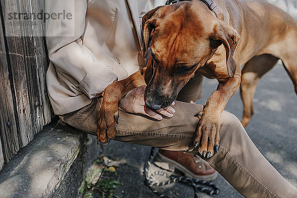 Schrägansicht einer Frau  die mit ihrem Hund spielt