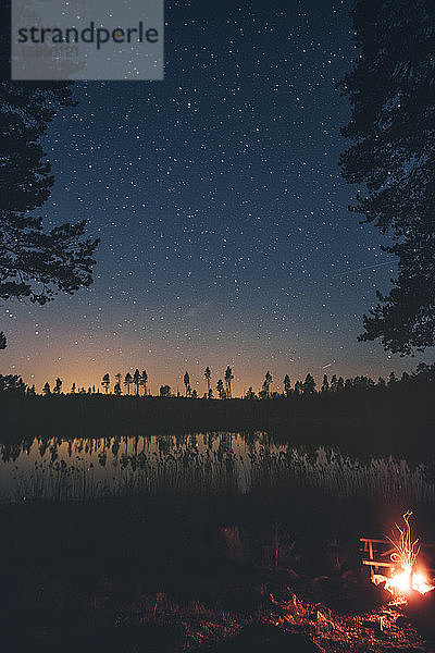 Sternenhimmel über den Bäumen in Sodermanland  Nykoping  Schweden