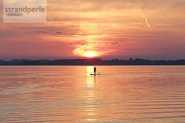 Deutschland  Bayern  Chiemsee  Silhouette einer Person  die bei stimmungsvollem Sonnenuntergang paddelt