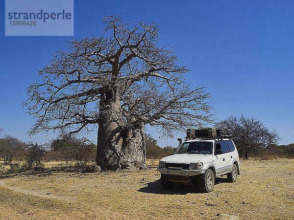 Parkplatz für Geländewagen in der Nähe von Baobab  Angola