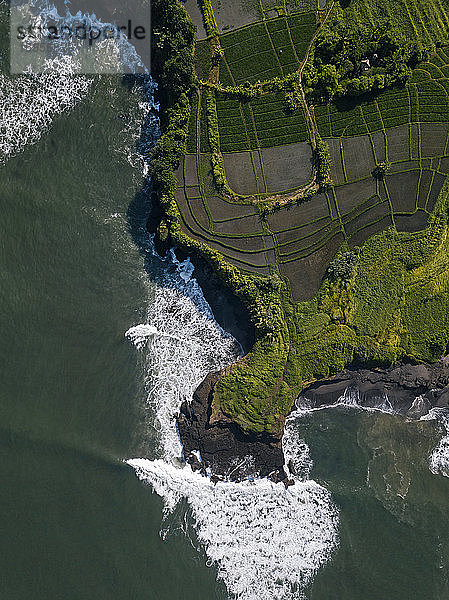 Indonesien  Bali  Luftaufnahme von Reisfeldern an der Küste