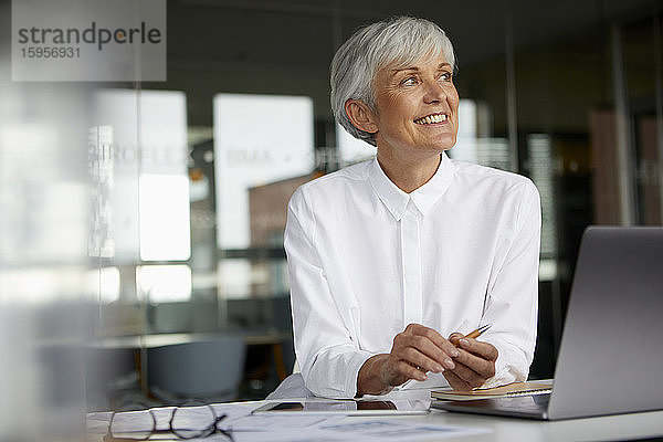 Porträt einer lächelnden älteren Geschäftsfrau am Schreibtisch in ihrem Büro