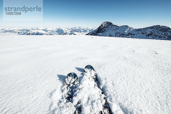 Österreich  Oberösterreich  Im Schnee liegende Skier am Dachsteingletscher