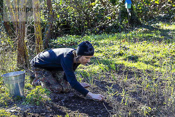 Mann sät im Frühling Samen in voller Länge in den Boden eines biologischen Gartens