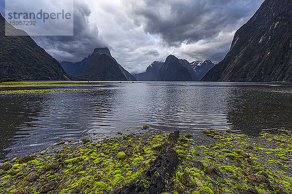 Neuseeland  Southland  Sturmwolken über der malerischen Küstenlinie des Milford Sound