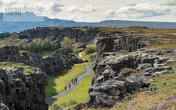 Grabenbruchzone oder Riftzone  Thingvellir  Þingvellir Nationalpark  Island  Europa