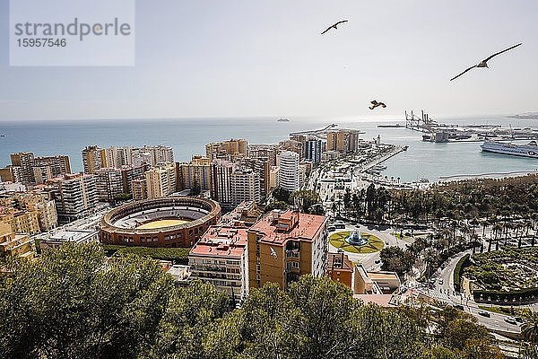 Stierkampf-Arena und das neue Hafenviertel mit Hafenpromenade Muelle Uno  Malaga  Andalusien  Spanien  Europa