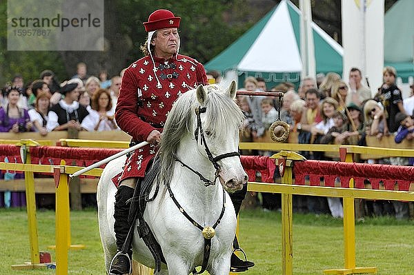 Reiter auf einem Schimmel  Reiterspiele  historisches Stadtfest  Gelnhausen  Main-Kinzig-Kreis  Hessen  Deutschland  Europa