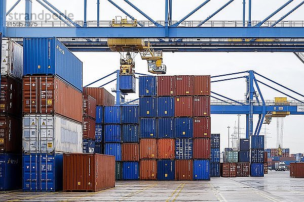 Containerterminal duisport logport  Duisburger Hafen  Duisburg  Ruhrgebiet  Nordrhein-Westfalen  Deutschland  Europa