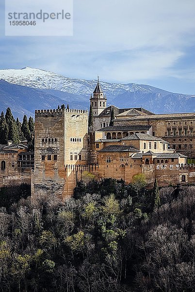Maurische Stadtburg Alhambra  Nasriden-Paläste  Palast Karl V.  hinten schneebedeckte Sierra Nevada  Granada  Andalusien  Spanien  Europa