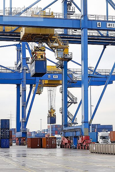 Containerterminal duisport logport  Duisburger Hafen  Duisburg  Ruhrgebiet  Nordrhein-Westfalen  Deutschland  Europa