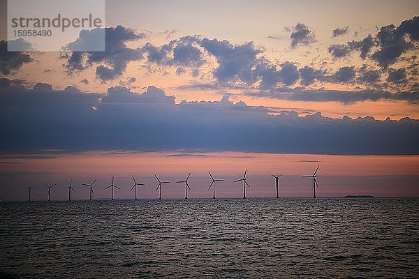 Blick vom Amager Strand auf Windkrafträder im Meer bei Sonnenaufgang  Offshore Windpark  Kopenhagen  Dänemark  Europa