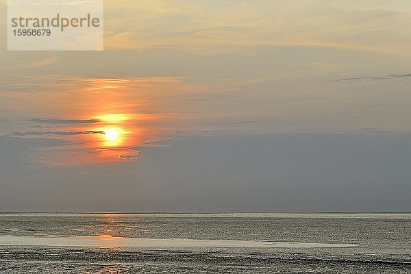 Sonnenuntergang am Wattenmeer bei Ebbe  Nationalpark Niedersächsisches Wattenmeer  Cuxhaven-Döse  Niedersachsen  Deutschland  Europa