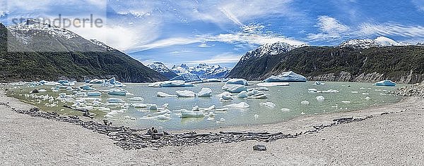 Gletschersee mit kleinen schwimmenden Eisbergen  Nationalpark Laguna San Rafael  Region Aysen  Patagonien  Chile  Südamerika